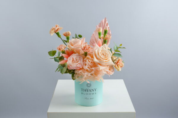Tiffany Box XS Peach