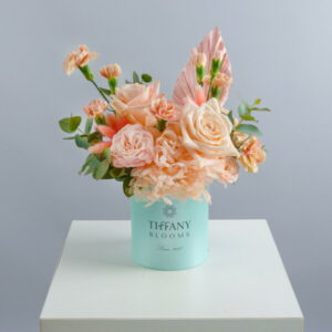 Tiffany Box XS Peach